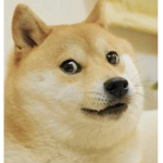 Bru meme life