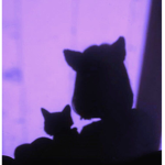 Catnu