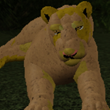 Jungle