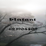 blatant ・