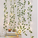 - preppy lights -