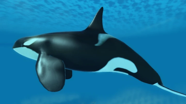 Mega Fish Evolution Wiki: jogo de Evolução, Idle | Roblox