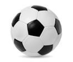 ROVERSE LEAGUE