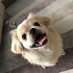 sos çetesi