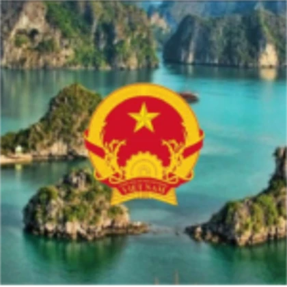 [VNAP] VietNam Army People's Roblox group icon