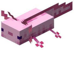 Axolotl's Rule!!
