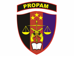 PI MABES PROPAM