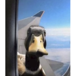 The united Duck empire