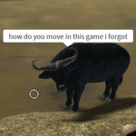 Buffalo comunity
