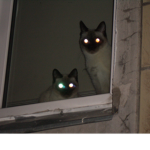 12 of hearts