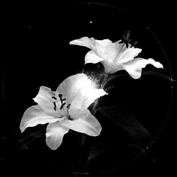 ૮꒰っ˕ -｡꒱১