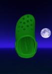 Croc's population