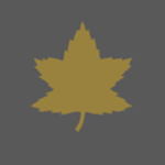 3rd Canadіan Division | RP
