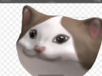 Popcat’ s group