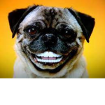 Like_OMG