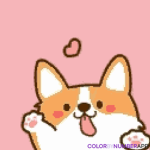 Cute Dog place
