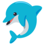 Dolphins Squad