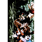 The Dragon Ball fan group z