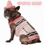 •Crayon Gang•
