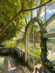 Sunlit Greenhouse Inc. [WCUE]