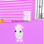 THE DREAM PET ADOPT ME GROUP