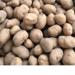 Potato Squad !!!!