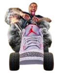 Pro M