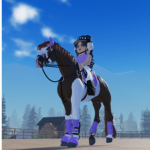 Lavender riding Academy.