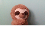 Mr Beary Group