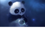 Panda favorites