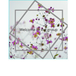 ETHAN Group 2019