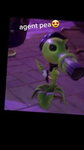 Agent Pea fan club