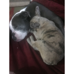 Alexis and keevin