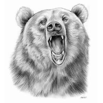 Bear Studios.