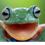 King Frog cult!