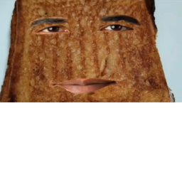 grilled cheese obama sandwich