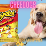 cheedogs