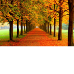 seasonal clothing!.