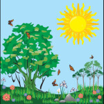 Beautiful Life | TRY IT OUT |