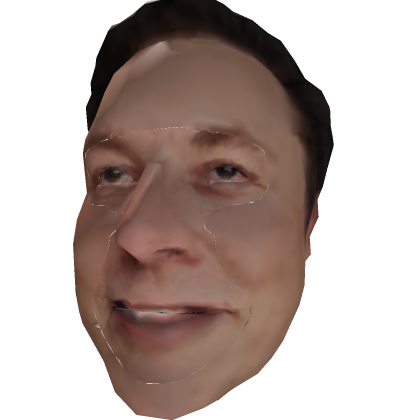 Elon's Head