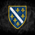 National peoples party of bosnia / NNPBIH