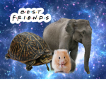 XBest_friendsx