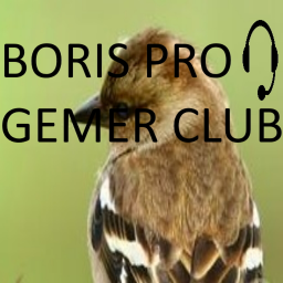 BORIS PRO GAMER CLUB 😎🧙‍♂️