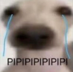 vvnoxr