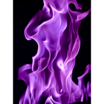 Purple Frost