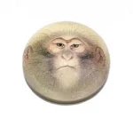 ChimpDome Studio Group Thumbnail
