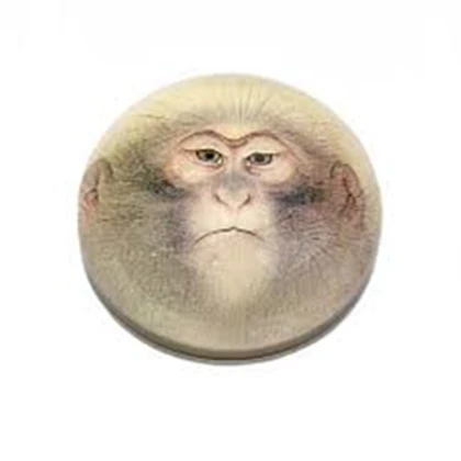 ChimpDome Studio Roblox group icon