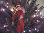 Elf Scouts!