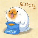 Seal chillzone