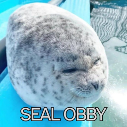 ¡Seal Obby!